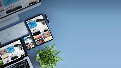 Common Web Design Myths You Need to Stop Believing